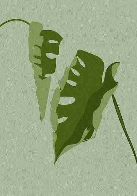 版本上手！重大更新探花视频app硬核分析